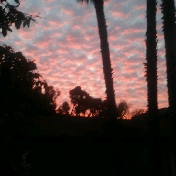 Meet your Posher, David - Picture 1 of 1